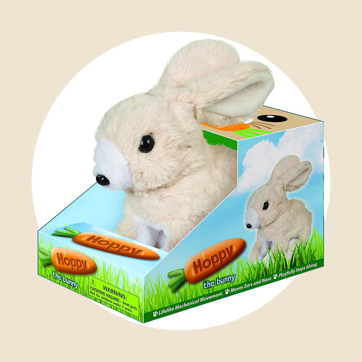 Hoppy the Bunny