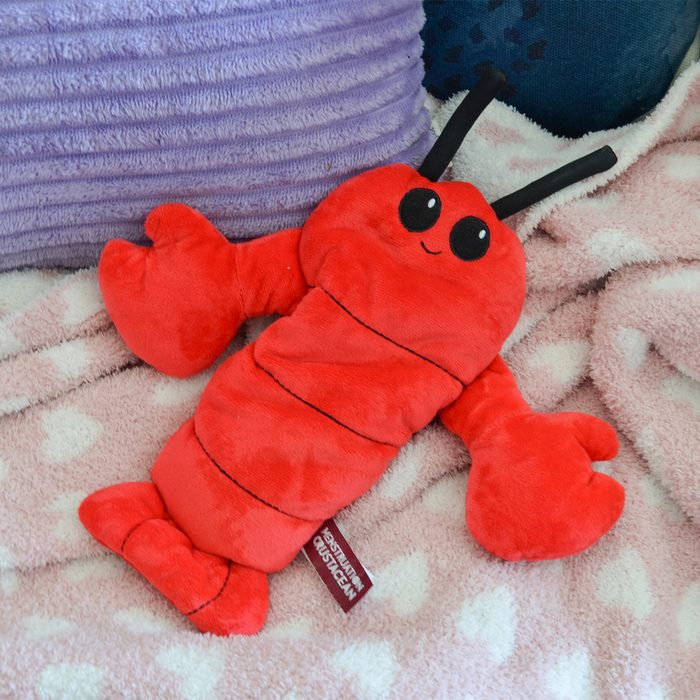 Toha24 Menstruation Crustacean Emily Way 01