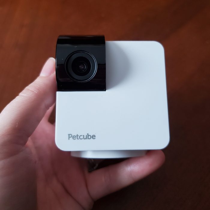 Toha24 Petcube 360 Camera Emily Way 01 Ssedit