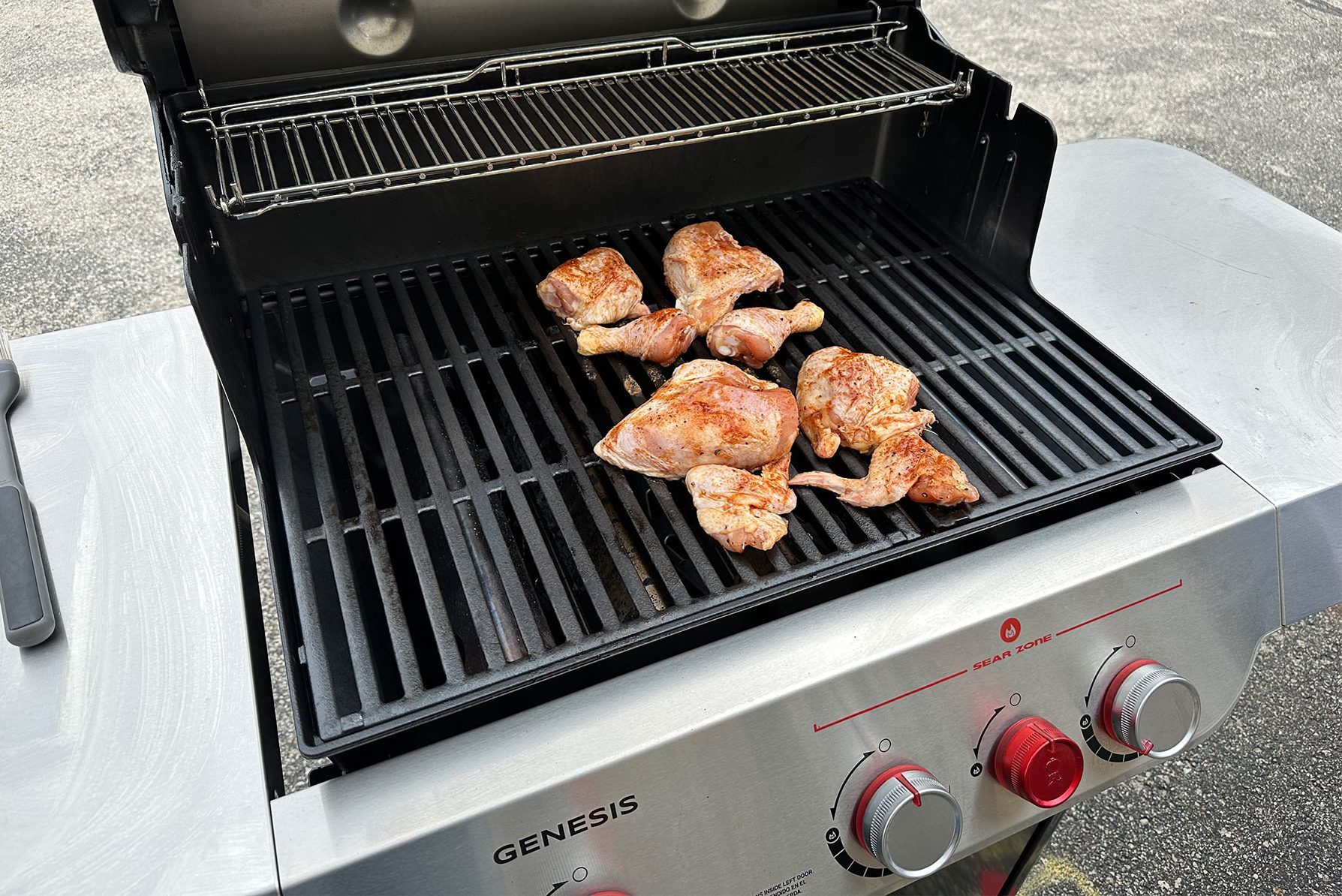 Genesis Chicken2