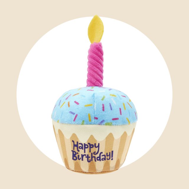 Plush Birthday Cupcake Dog Toy Ecomm Via Chewy.com
