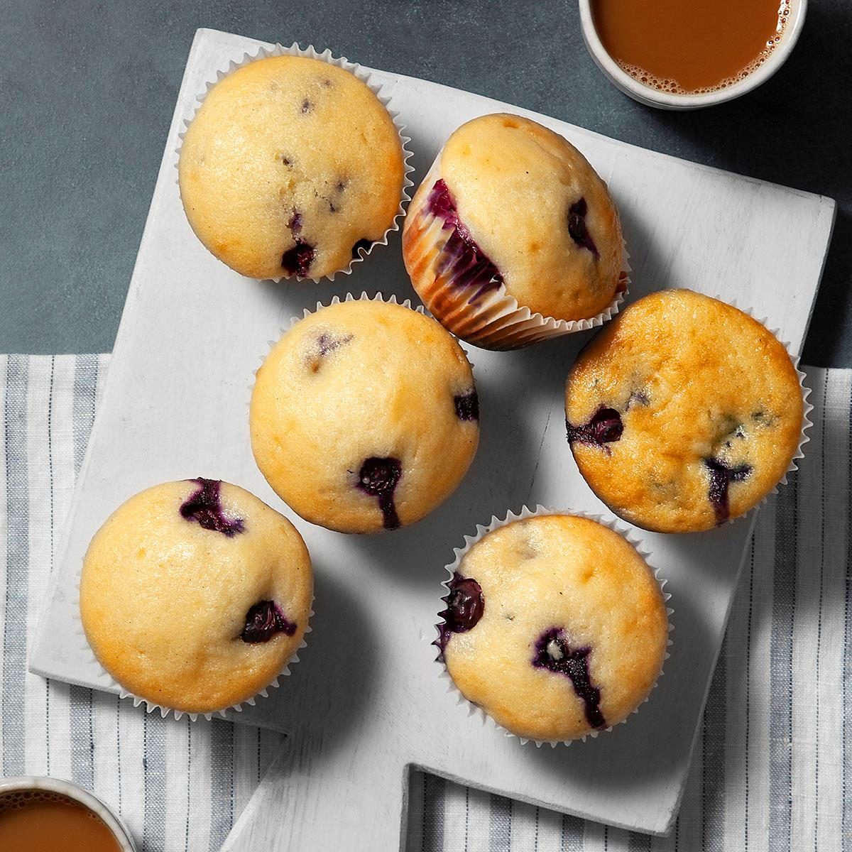 Blueberry Yogurt Muffins Exps Ft24 41834 Ec 073124 1