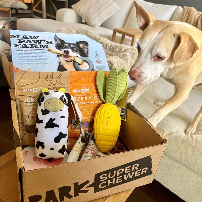 Barkbox Super Chewer