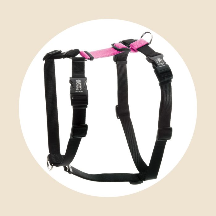 Blue 9 Buckle Neck Balance Harness