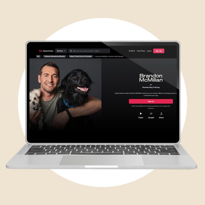 Brandon Mcmillan Masterclass Dog Training