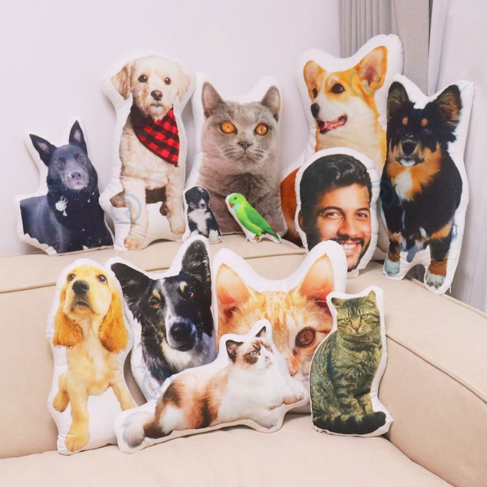 Custom Pet Pillow