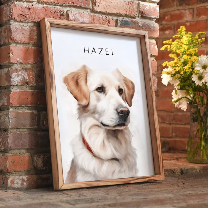 Custom Pet Portrait
