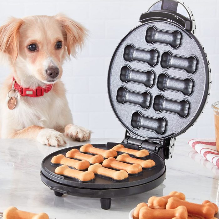 Dash Dog Treat Maker