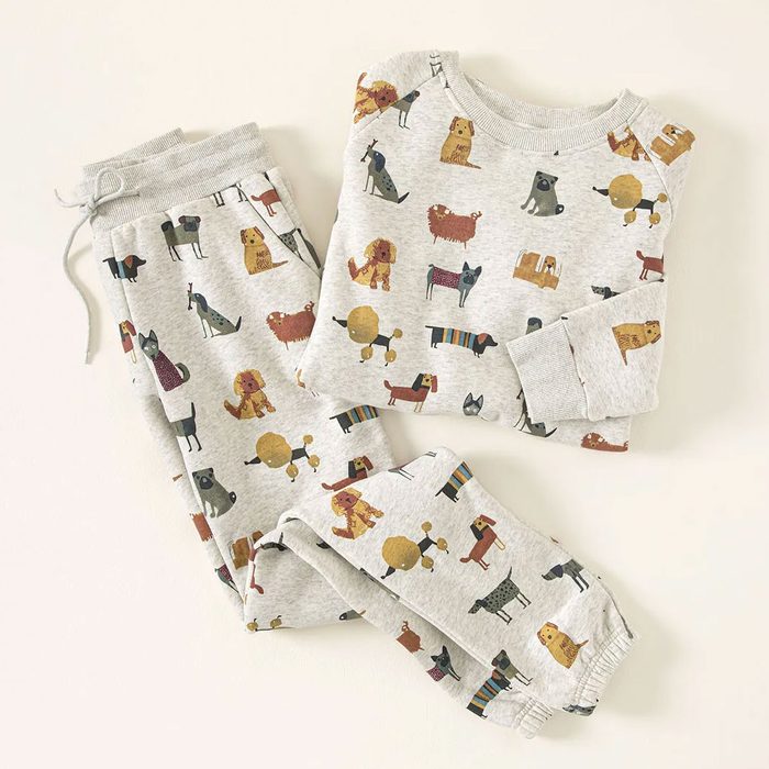 Dog Lovers Cozy Sweatshirt And Jogger