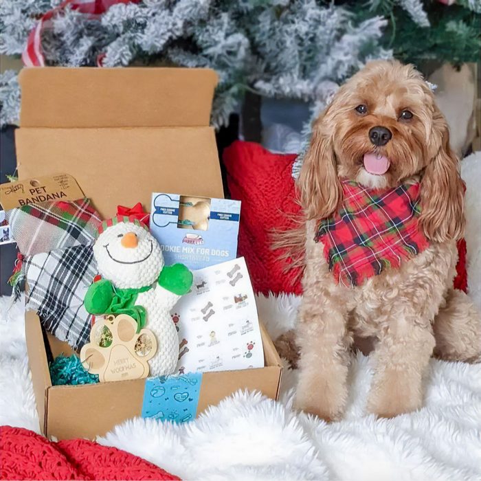 Dog Mom Box