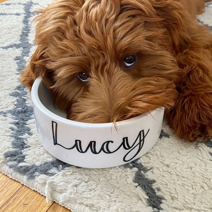 Personalized Dog Bowl