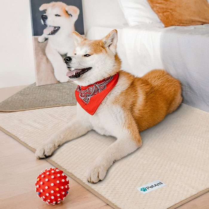 Petami Waterproof Dog Blanket