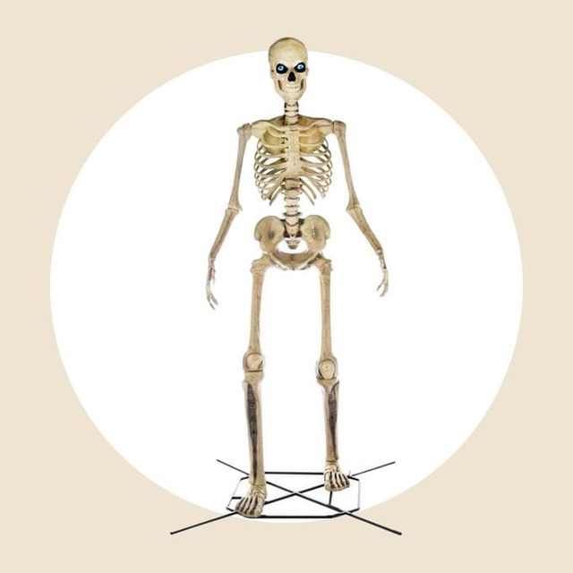 12 Foot Giant Sized Skeleton Courtesy The Home Depot Dh Toh Silo Aqt 1