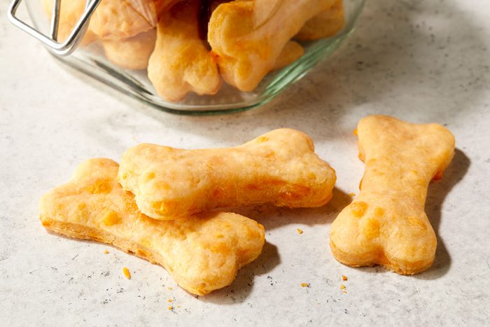 Cheese Dog Treats