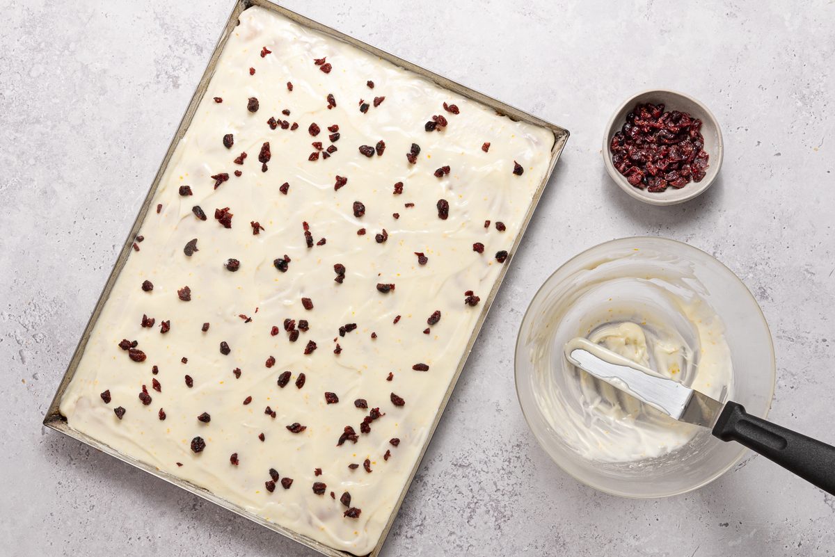 Frosted Cranberry Cake