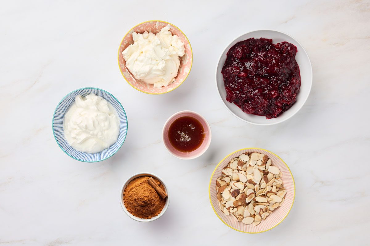 48011 Cranberry Dip