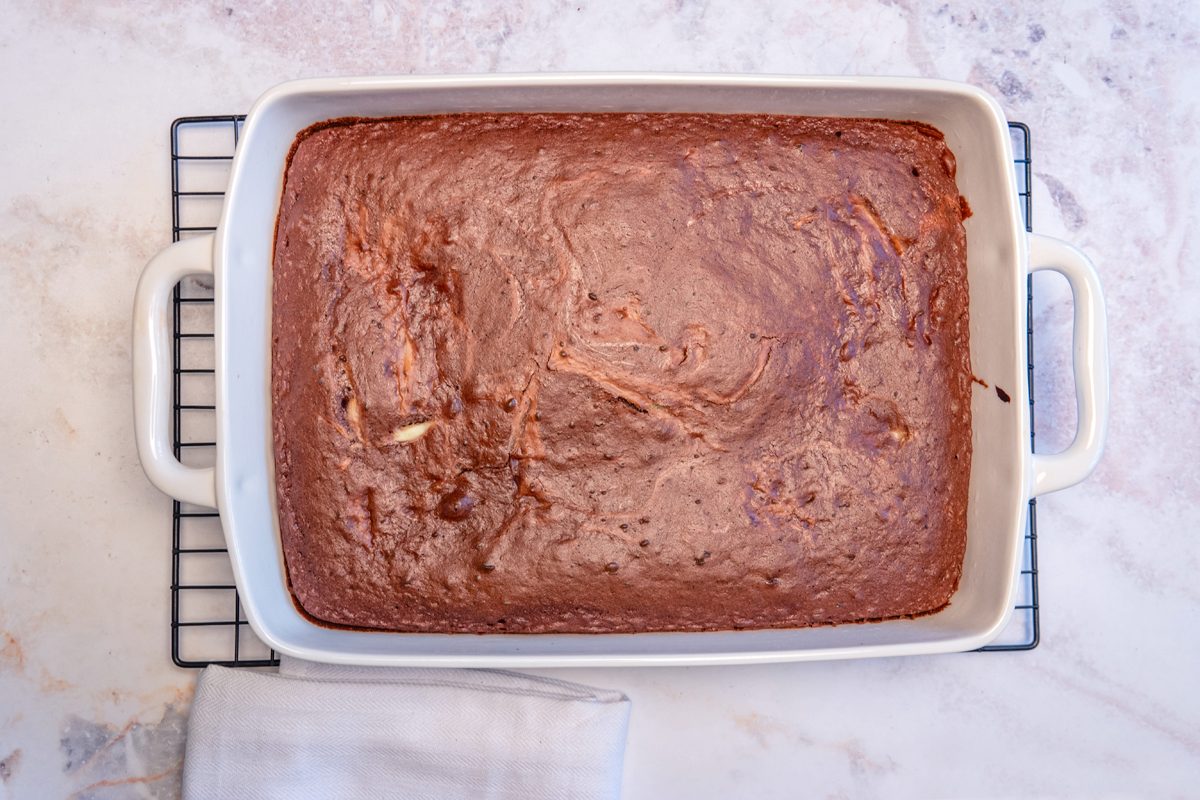 German Chocolate Cheesecake Tohd24 24627 Orlycatz 03