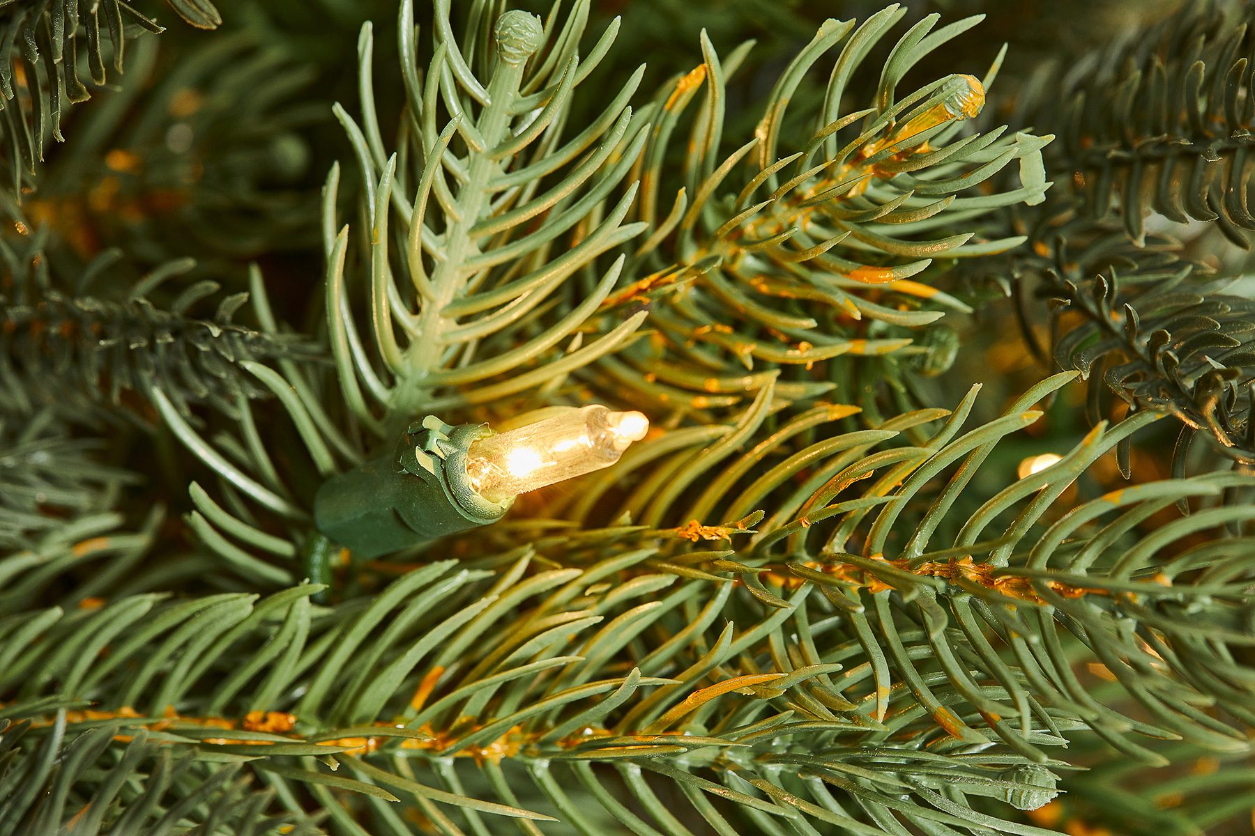 Grandin Road Christmas Trees Review