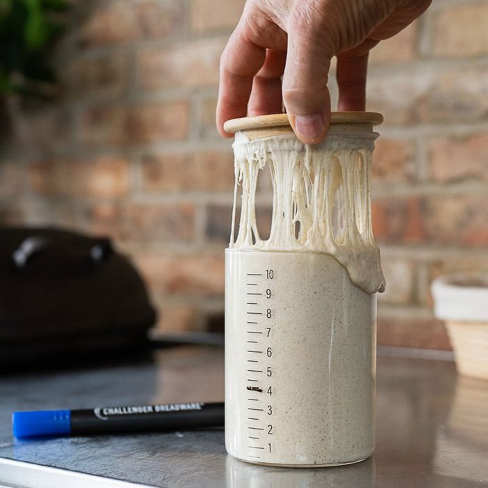 Sourdough Starter Jars Ecomm Via Challengerbreadware.com 1