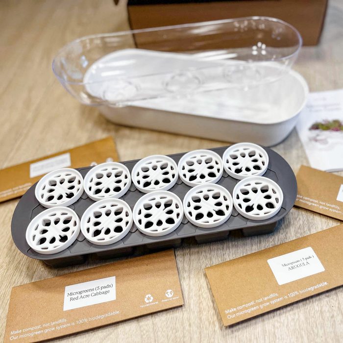 Gardyn Microgreens kit