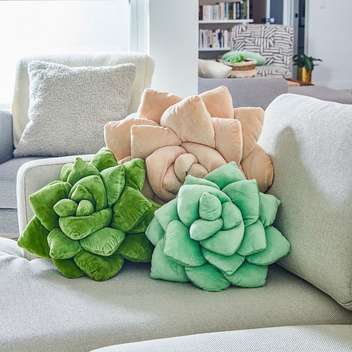 Lil Pop Succulent Pillow