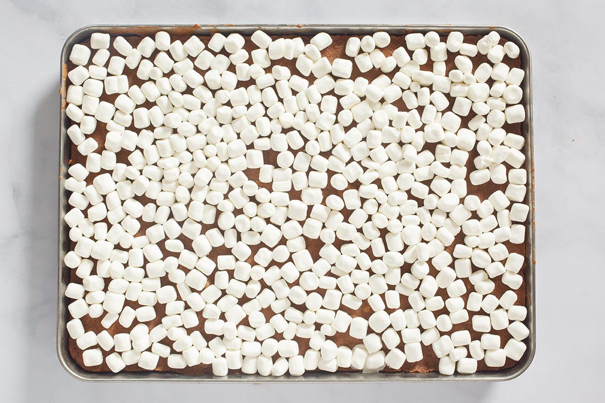 Sprinkled mushrooms on brownie layer