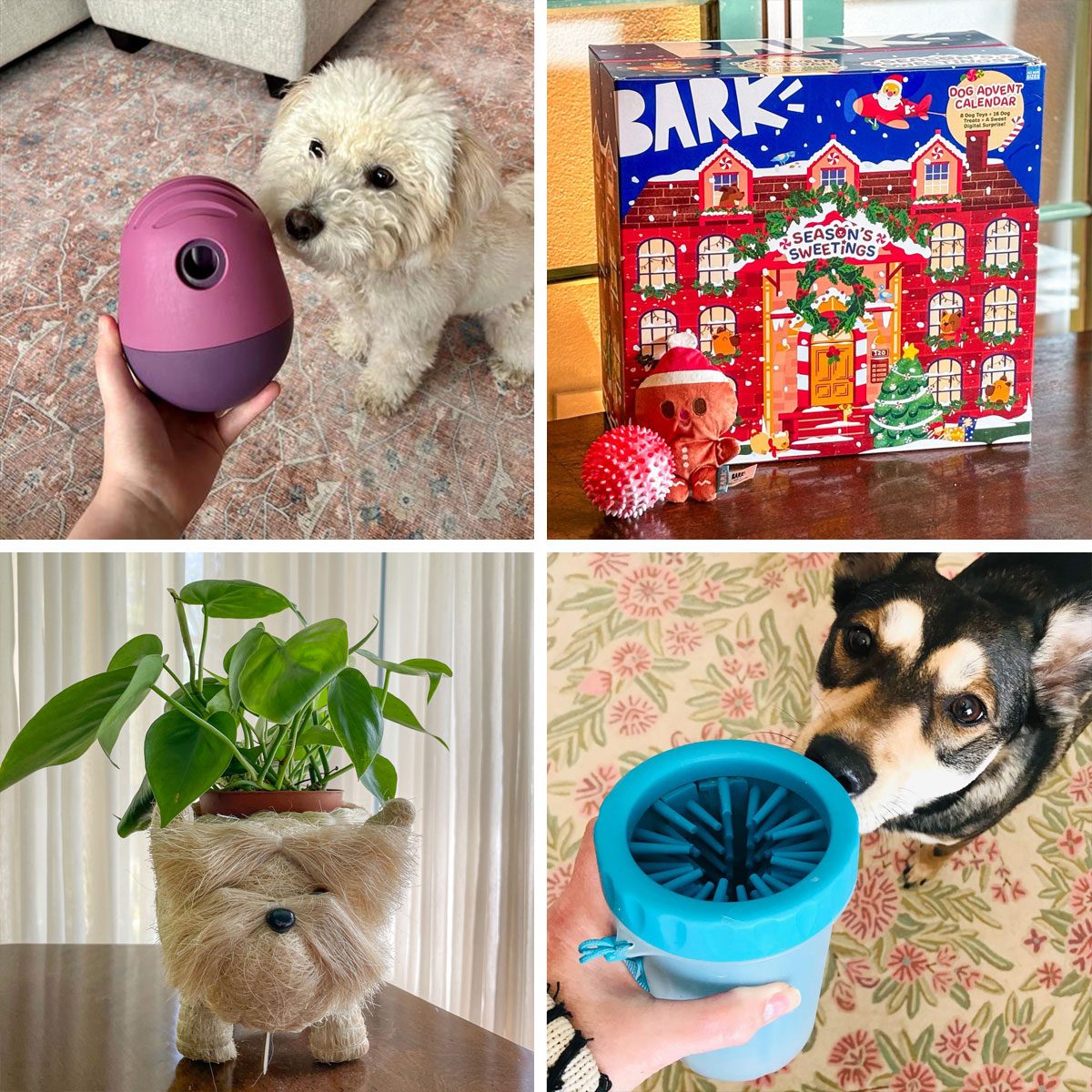 51 Fun Gifts for Dog Lovers, According to Pet Parents
