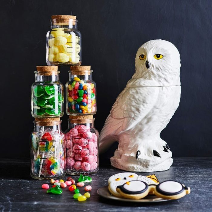 Harry Potter Hedwig Cookie Jar Ecomm Williams Sonoma.com 