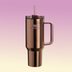 The Stanley Mesa Rose Collection Is Here—And We're Obsessed with the Rose Gold Cup